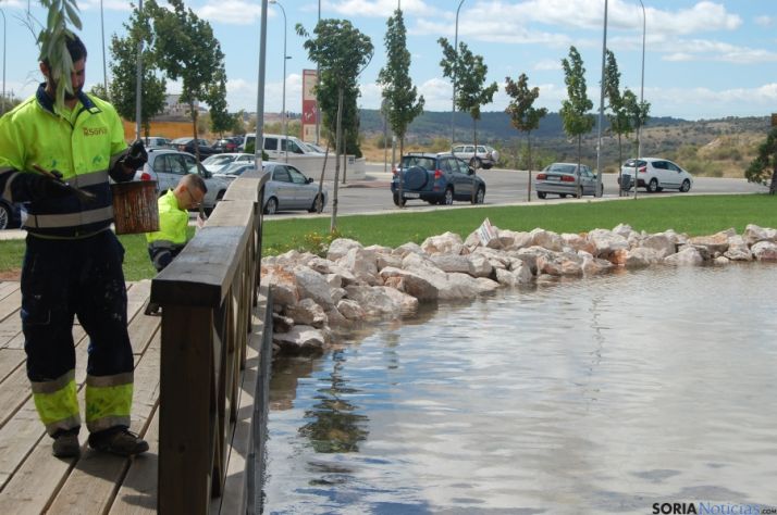 Trabajos realizados en la pérgola del estanque de La Tejera. Ayto