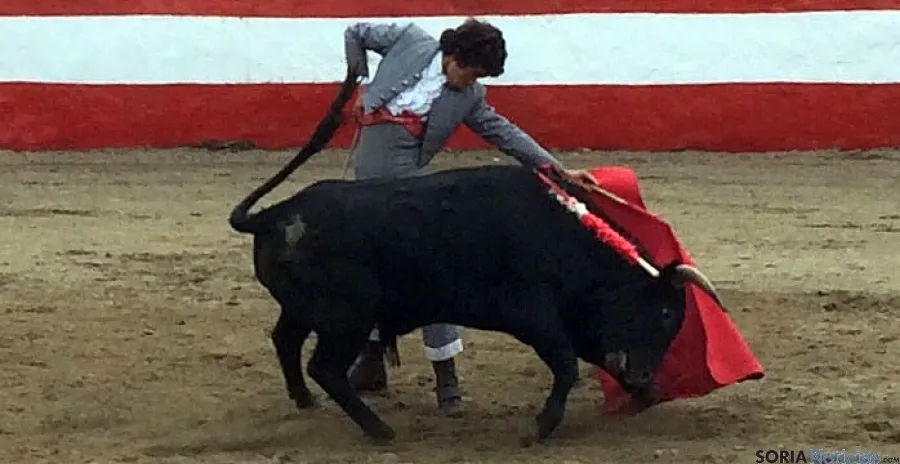 Sanz triunfa en tierras vizcaínas. / SN 