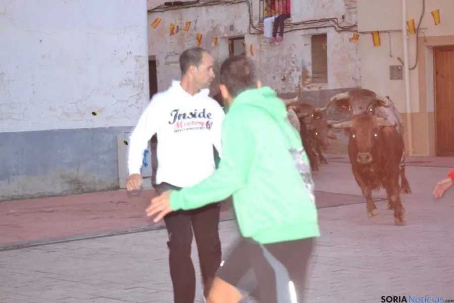 Fiestas de Ólvega 2015