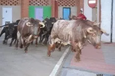 Fiestas de Ólvega 2015