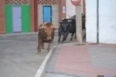 Fiestas de Ólvega 2015