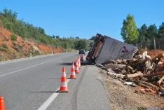 El camión accidentado este lunes. / SN