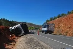 El camión accidentado este lunes. / SN