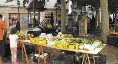 Mercado Ecológico/SN