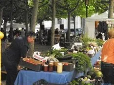 Mercado Ecológico/SN
