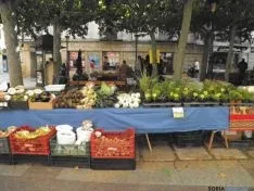 Mercado Ecológico/SN