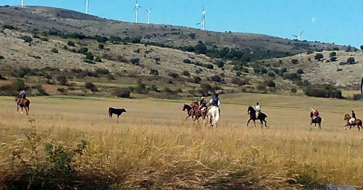 La vaquilla, entre caballistas. / SN