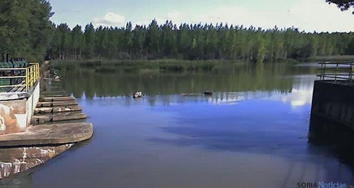 Imagen del embalse pinariego. / SN