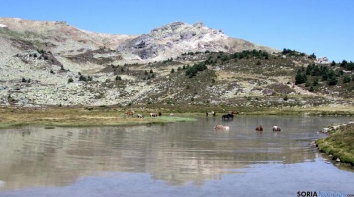 La Laguna Larga de Urbión