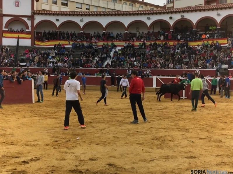 Vaquillas de San Saturio