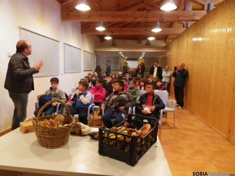 Jornada micológica escolar en Navaleno
