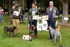 Cachorros machos ganadores
