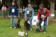 Cachorros hembras ganadores