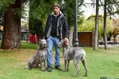 Hembra ganadora y segundo macho