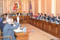 Pleno en Diputación Provincial