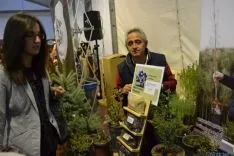 Foto 4 - Arranca el Mercasetas m&aacute;s visitado, con menos ejemplares y m&aacute;s difusi&oacute;n de Soria