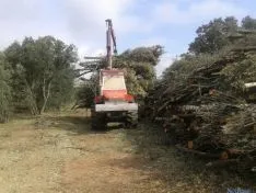 Trabajos de extracción de Amatex