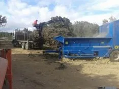 Trabajos de extracción de Amatex