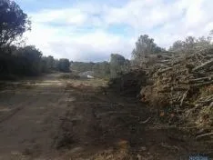Trabajos de extracción de Amatex
