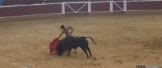 Novillada de San Saturio
