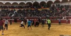 Vaquillas de San Saturio