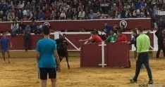 Vaquillas de San Saturio