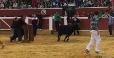 Vaquillas de San Saturio