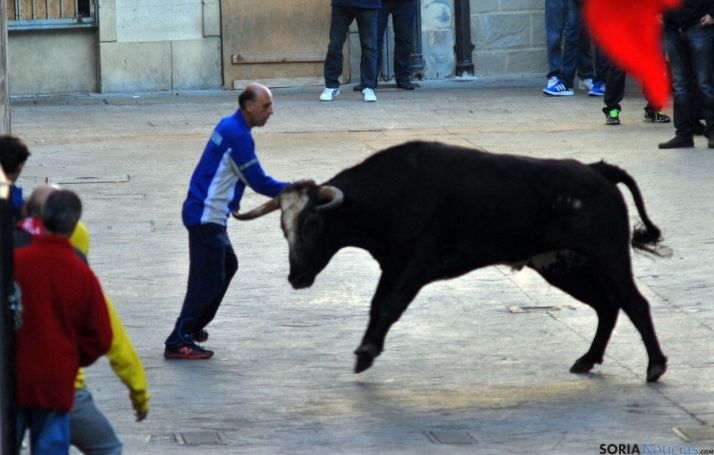 Los encierros de Ágreda son festejos taurinos tradicionales. / SN