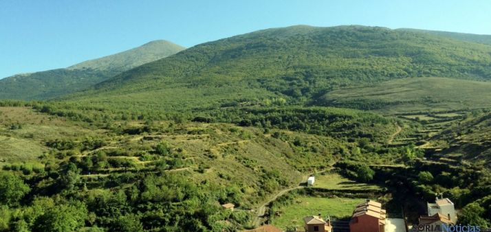 Ladera del Moncayo sobre Vozmediano. 