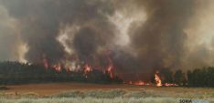 El incendio de Barcebalejo, pedanía burgense, uno de los mayores de la campaña. / SN