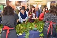 Promoción acebo en Intur 2015