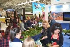 Promoción acebo en Intur 2015