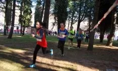 Imagen de la jornada de atletismo este domingo en la Alameda Cervantes. / SN