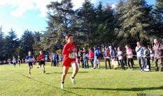 Imagen de la jornada de atletismo este domingo en la Alameda Cervantes. / SN