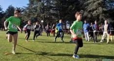 Imagen de la jornada de atletismo este domingo en la Alameda Cervantes. / SN