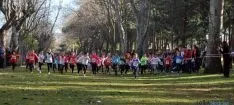 Imagen de la jornada de atletismo este domingo en la Alameda Cervantes. / SN