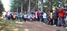 Imagen de la jornada de atletismo este domingo en la Alameda Cervantes. / SN