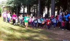 Imagen de la jornada de atletismo este domingo en la Alameda Cervantes. / SN
