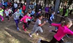 Imagen de la jornada de atletismo este domingo en la Alameda Cervantes. / SN