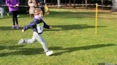 Imagen de la jornada de atletismo este domingo en la Alameda Cervantes. / SN
