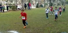Imagen de la jornada de atletismo este domingo en la Alameda Cervantes. / SN