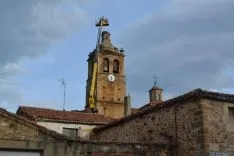 Retirada de nidos en la iglesia de El Royo