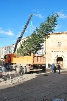 La descarga del abeto. / SN