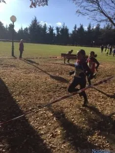 Imagen de la jornada de atletismo este domingo en la Alameda Cervantes. / SN