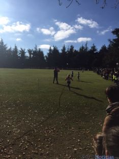 Imagen de la jornada de atletismo este domingo en la Alameda Cervantes. / SN