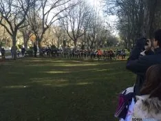 Imagen de la jornada de atletismo este domingo en la Alameda Cervantes. / SN