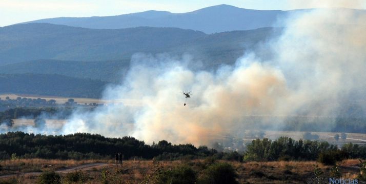 Incendio forestal en el Soto de Garray este verano. / SN