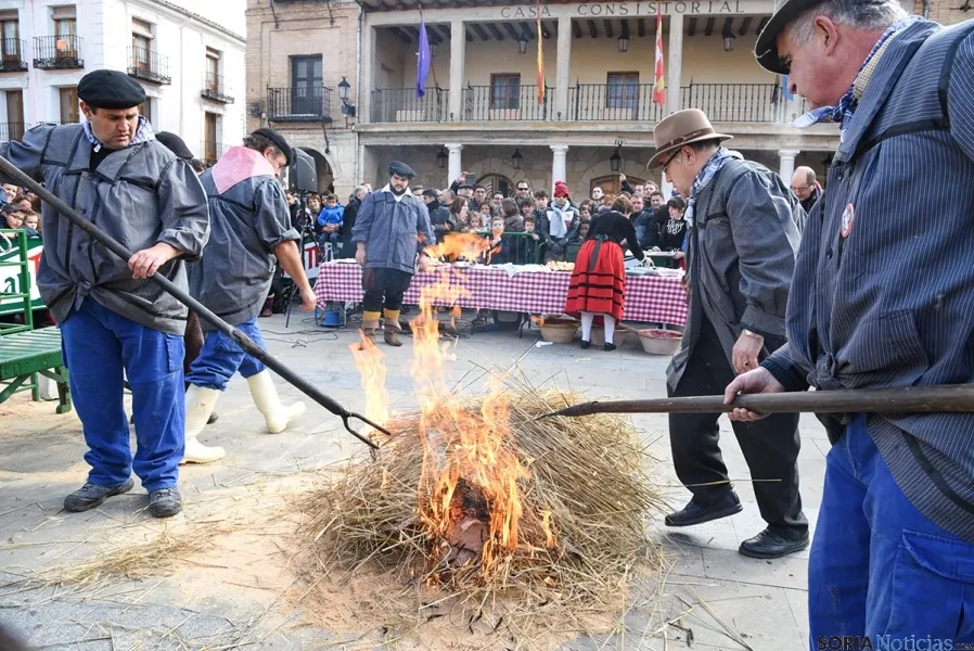 El sacrificio del gorrino este domingo en El Burgo. / SN