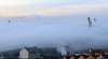 Niebla en Los Pajaritos este lunes./SN