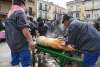 El sacrificio del gorrino este domingo en El Burgo. / SN